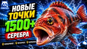 🤑 НОВЫЕ ТОЧКИ для ФАРМА РР4! РР4 Фарм СЕРЕБРА в Русской Рыбалке 4! КОМАРИНОЕ • ЯНТАРНОЕ • НОРВЕЖКА