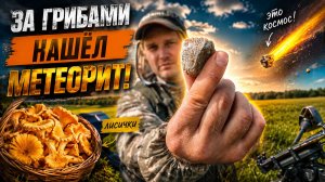ПОЕХАЛ ЗА ЛИСИЧКАМИ, А НАШЁЛ НАСТОЯЩИЙ МЕТЕОРИТ!