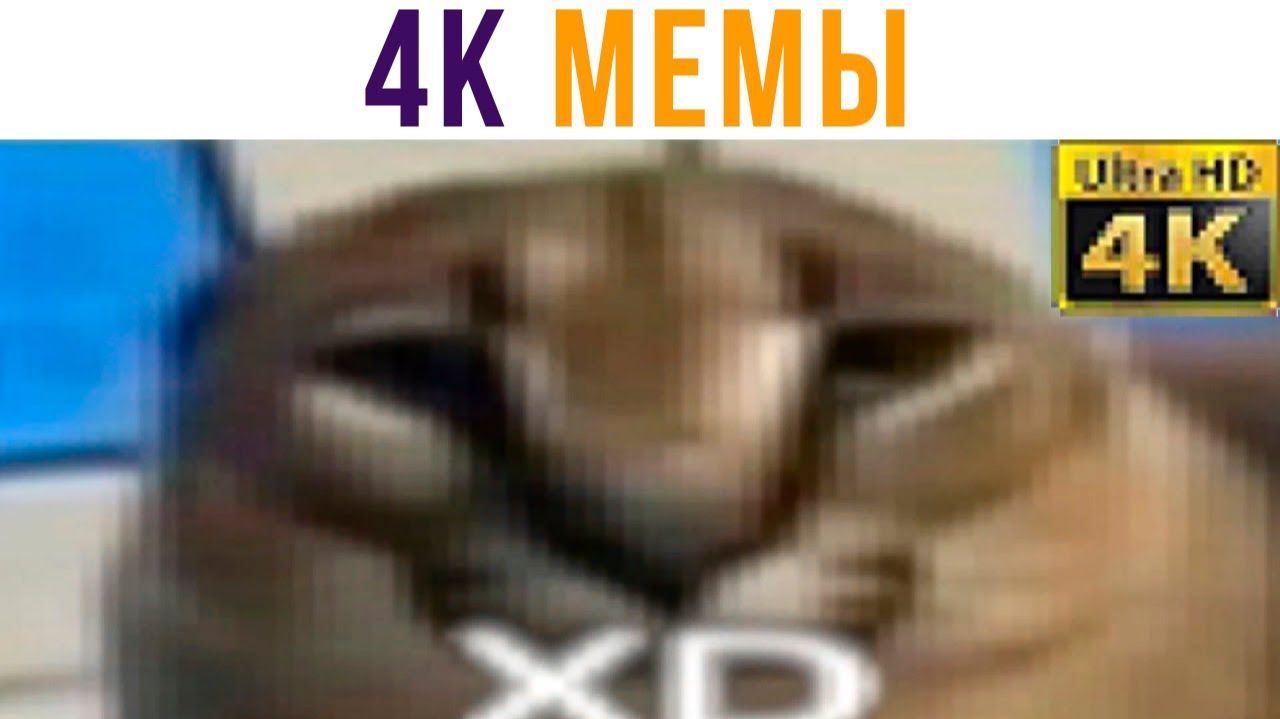 4К-МЕМЫ ОТ ШЛЁПЫ)) Приколы смотреть онлайн
