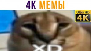 4К-МЕМЫ ОТ ШЛЁПЫ)) Приколы