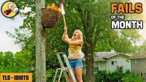 (NEW!) TLS - TOTAL IDIOTS AT WORK #71 💥