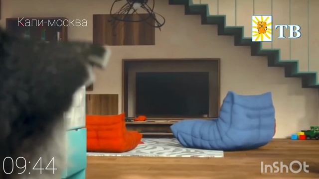 19-07-2026 LIVE:Телеканал Крутой Капибара смотреть онлайн
