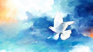 Утренний релакс⏰😊🌞🕊️🕊️🕊️