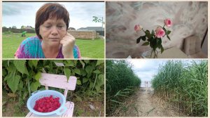 Сильный прилив.Обычно не беру.Несчастный участок