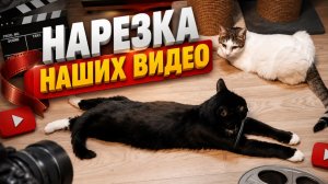 Нарезка наших видео.