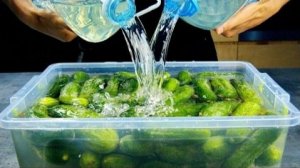 Я больше не покупаю огурцы зимой. Простые рецепты зимней консервации, которые сэкономят ваш бюджет