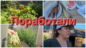 18-07-2026 Работаем вместе с мужем // Пробуем делать люля-кебаб.