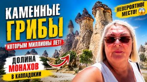 Каменные грибы, которым миллионы лет! Долина монахов в Каппадокии/Paşabağ