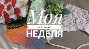 Вязальная неделя.Н ожидала,что начну вязать эти изделия. Две готовые работы и продвижения по чайке