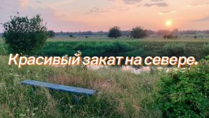 Радуюсь первым огурцам. У нас север. На ночь витаминки...