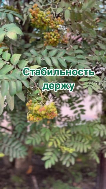 Прогулка по Красноярску