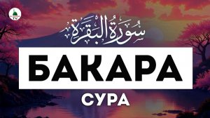 Сура БАКАРА. Коран. Слушать каждый день