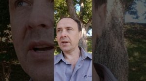 Отзыв об Оптина пустынь 2026 Дни Достоевского