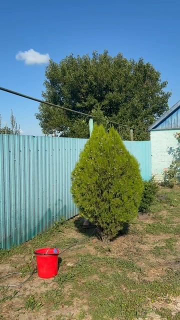 KVOLT Аккумуляторный опрыскиватель садовый Артикул WB: 948688422