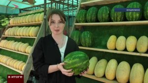 Во Владикавказе проверяют качество арбузов