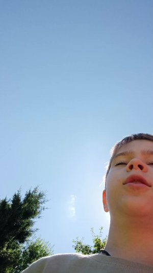 лингангуль