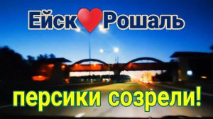 Ейск♥️Рошаль. С юга в подмосковье. У детей Олега. Персики созрели. Огород и сад на юге.