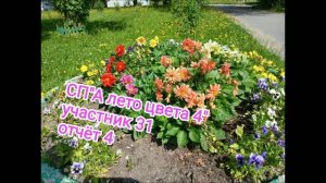 СП» А лето цвета 4» отчёт 4. участник 31