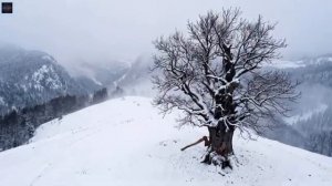 DRAGENVAR Топор в пепле feat ELVYRA