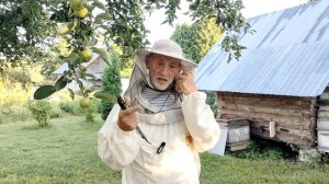 19 июля  ГЛАВНЫЙ МЕДОСБОР задержался