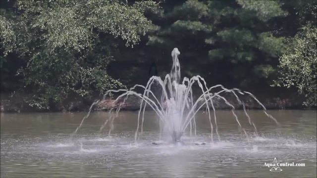 Плавающий фонтан Aqua Control серии Display Aerator с насадкой Trillium