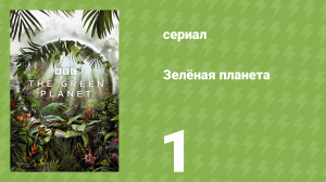 Зелёная планета 1 серия «Тропические миры» (документальный сериал, 2022)