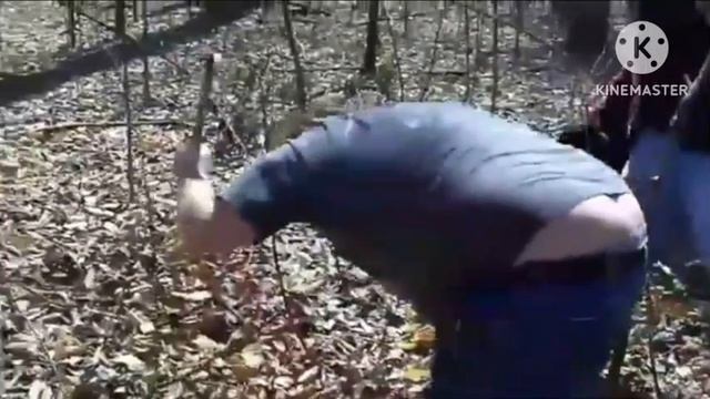 People destroying big mouth billy bass compilation смотреть онлайн