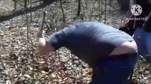 People destroying big mouth billy bass compilation