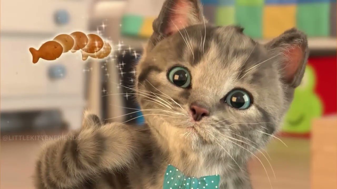Развивающие игры Little Kitten