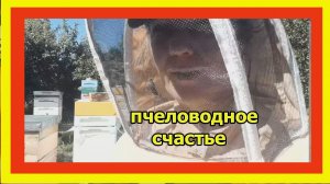Пчеловодное Счастье
