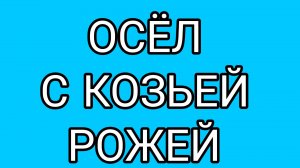 Прокуренный голос БРАВЕНЬКОЙ или дикие пляски ОЛАШКИ