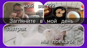 Загляните в мой день//мой вес//завтрак//мы в путь дорожку