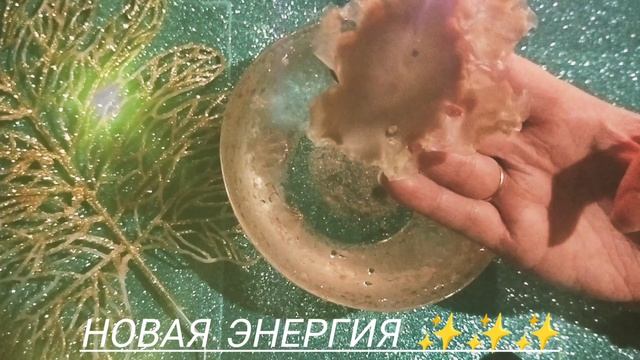 Новая энергия ⚡