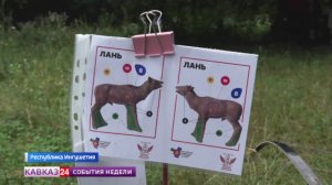 В Ингушетии проходит чемпионат России по 3D-стрельбе из лука