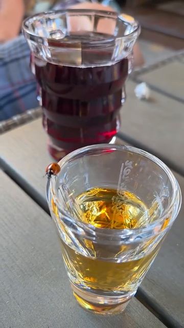 Сегодня будет туса, я сегодня напьюся 🤟🥃
#сочи  #туса  #напьюся
