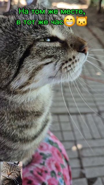 😊👋🐱🐾🐾🐾🐾