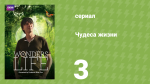 Чудеса жизни 3 серия «Вечный двигатель жизни» (документальный сериал, 2013)