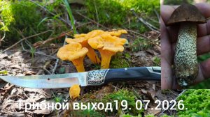 Выход за грибами 19.07.2026.