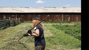 Завтрак! Гребь! 💥Спешу собрать сено!💦