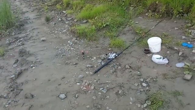 Рыбалка в середине Июля. Хороший клёв Плотвы. смотреть онлайн