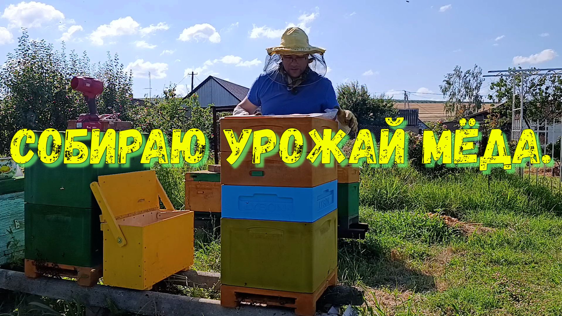 Собираю Мед смотреть онлайн