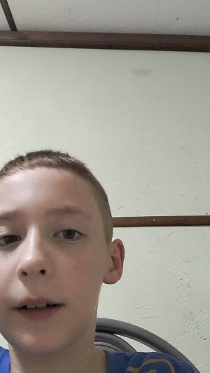 5 пд