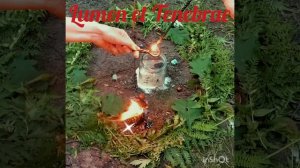 Отжиг порчи Змея под сердцем