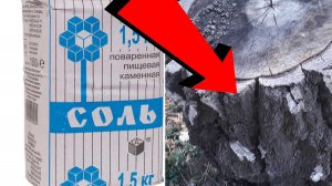 Как избавиться от пня За 3 Секунды!