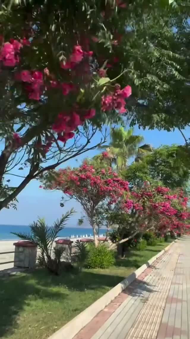 Жара в Аланьи+36 днём, +30° ночью. Турция 2026. #alanyasg🌊