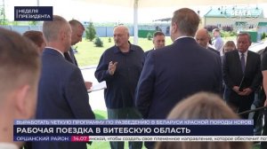 Лукашенко: Порядок должен быть! | Васильки для Лукашенко и «Славянский базар» | Неделя Президента.