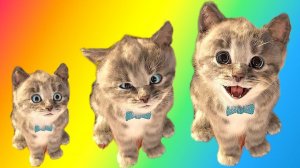 Приключение милого котенка и м