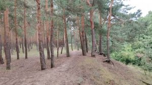 Молодежь не хочет работать? Почему порой некоторым так кажется?