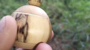 Шкатулка в июльском лесу на березе с сосной