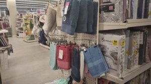 Влог / 13-16.07.2026 / Прогулка, настолка, Familia, растения в Лемана Про